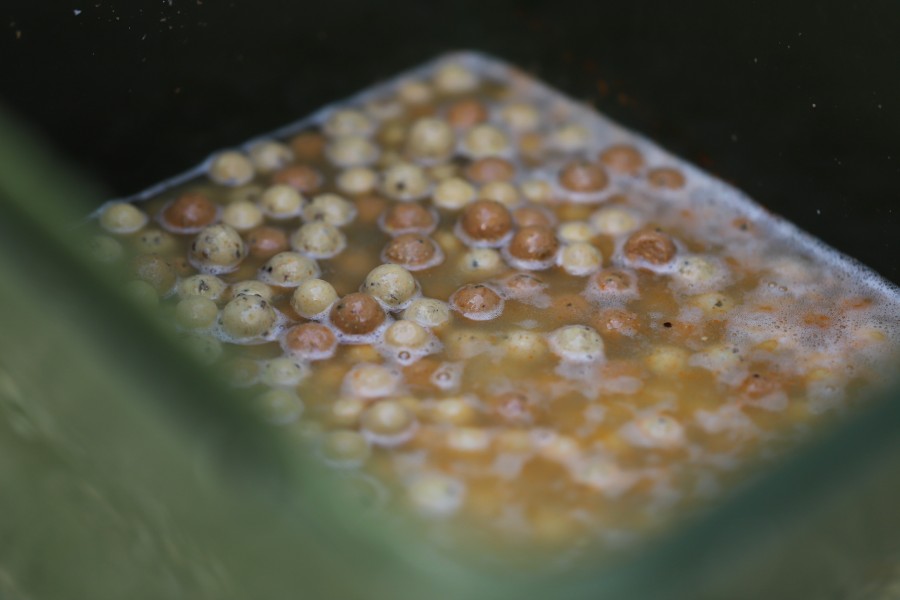 Steve's pre soaked boilies doing the business