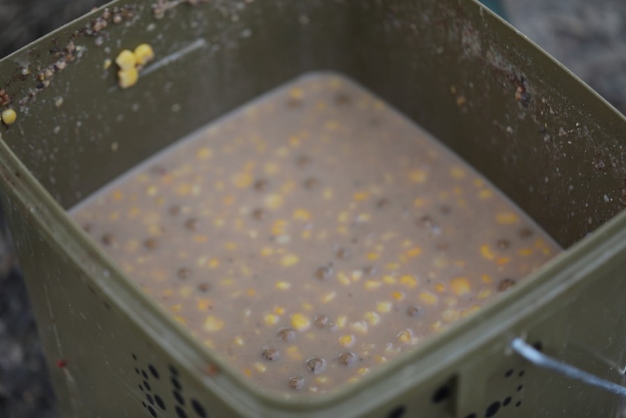 Corn and soaked boilies kept the bites coming.