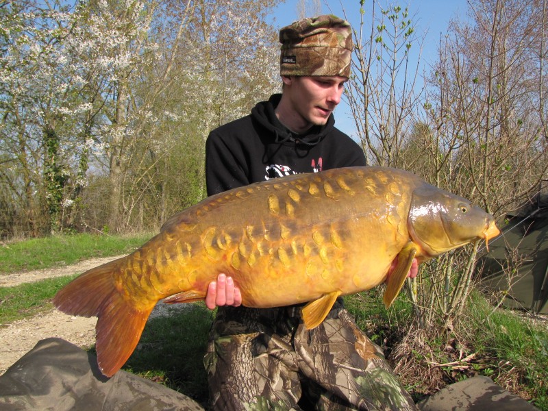 Fred the fish looking awesome in the Spring sunshine for Kevin.