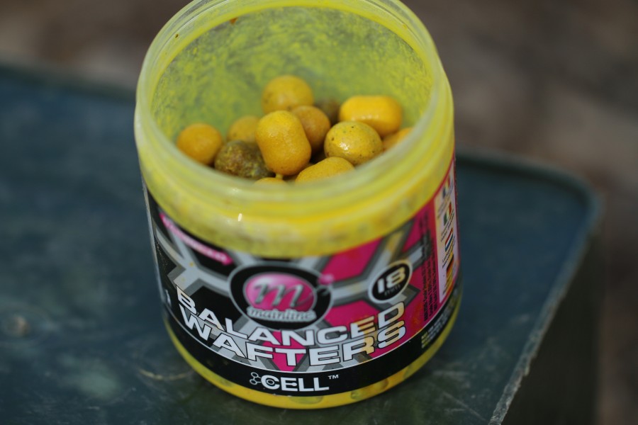 Now that's some goo'd up hook bait ..........