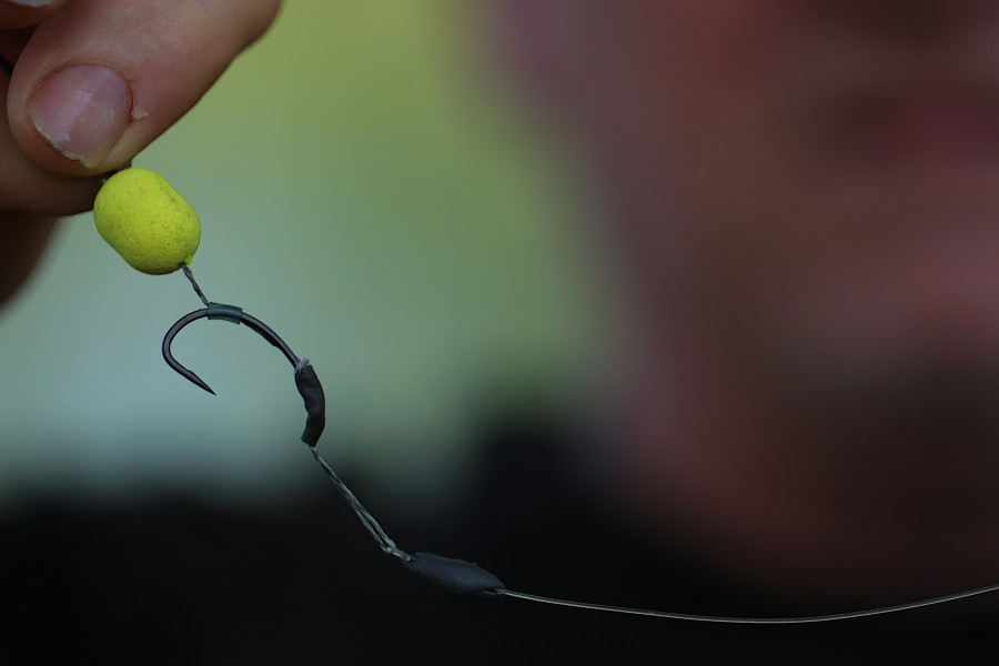 Andys rig of choice, the combi rig proved to be a good choice!!.....