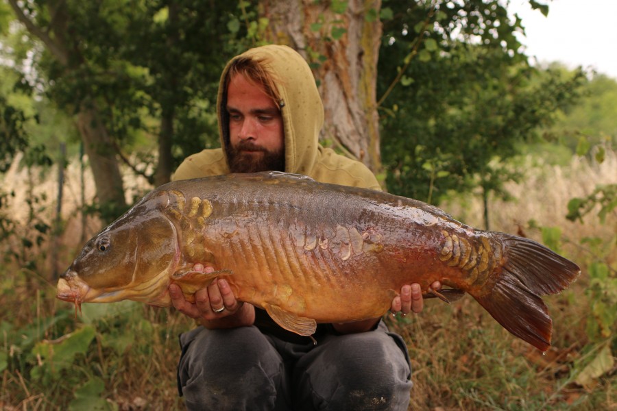 Grant Dilloway - 37lb 8oz - Alamo - 28/07/20