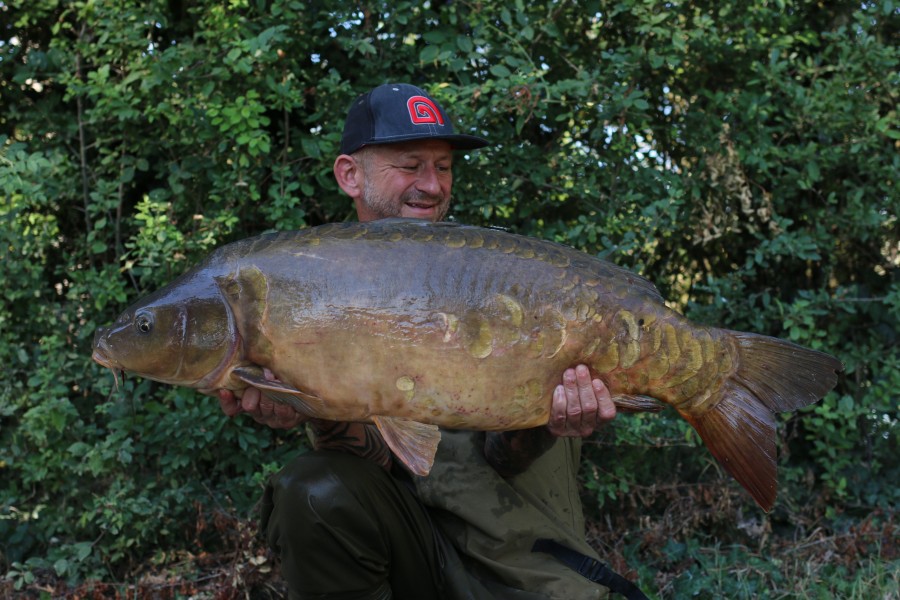 Rowan Hill - 40lb - Treeline - 31/07/20