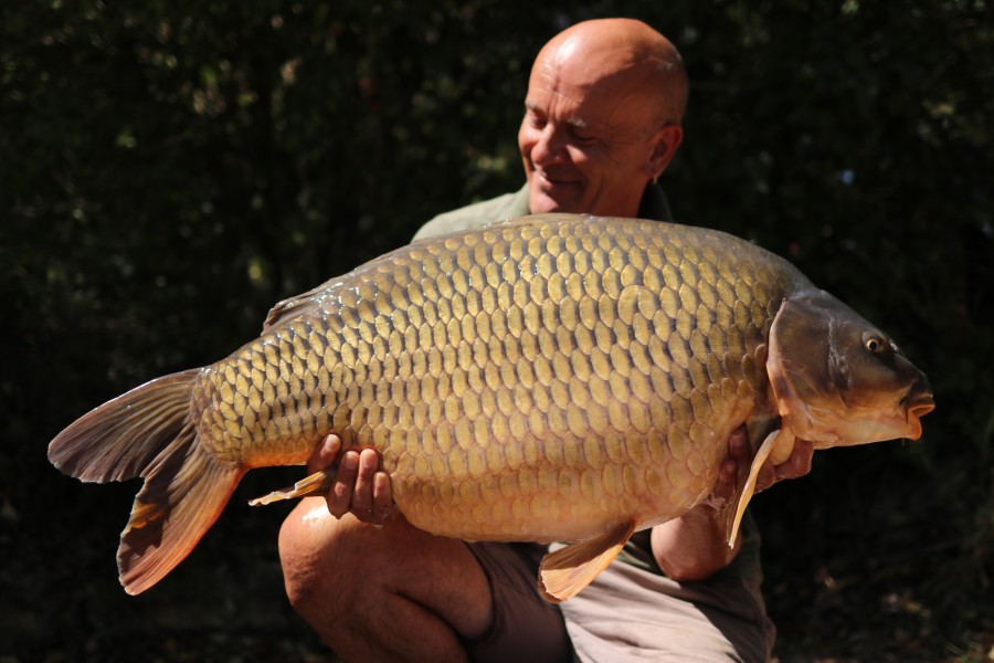 Gordon Harman 39lb 2oz Bob's Beach 01.08.2020