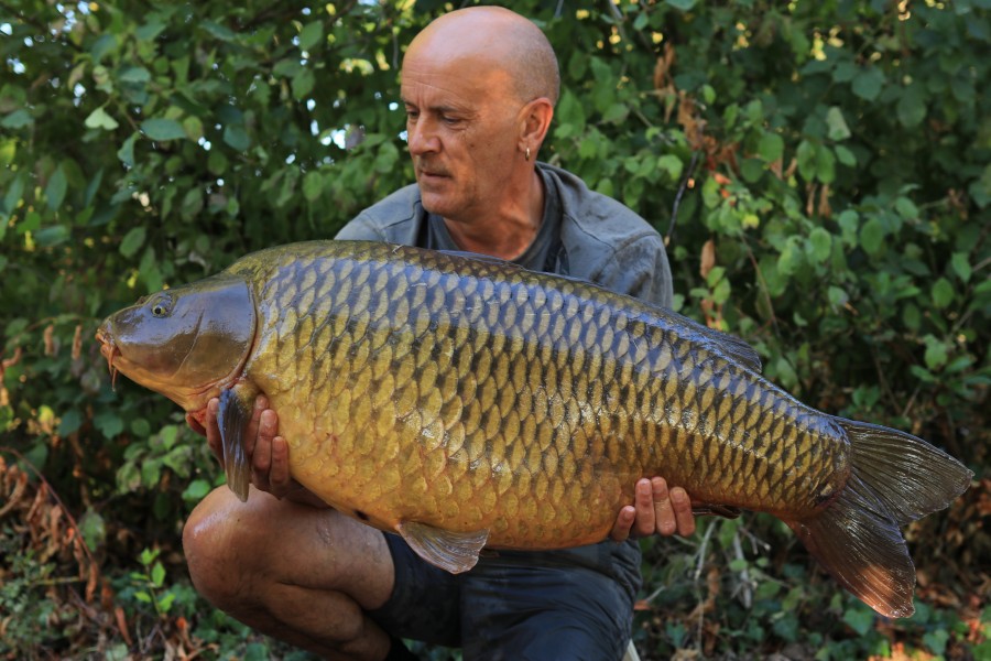 Gordon Harman 43lb 8oz Bob's Beach 01.08.2020