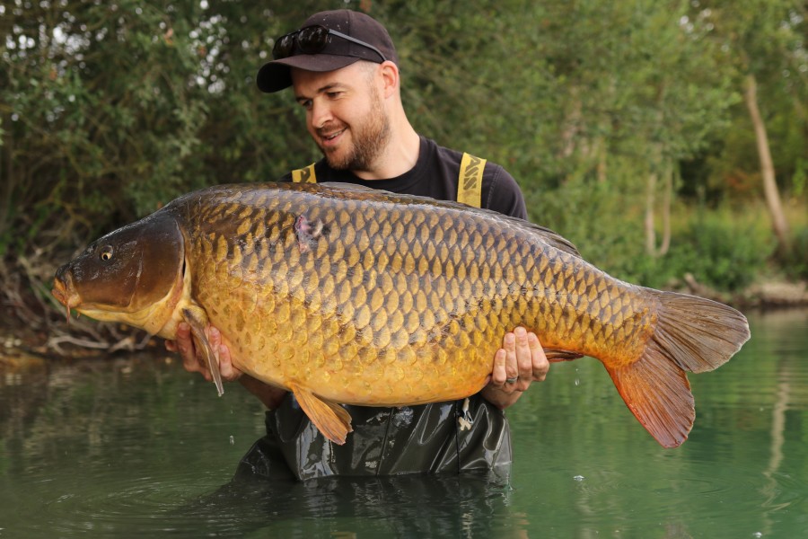 Michael Mack 51lb 8oz Pole Position 15.08.20
