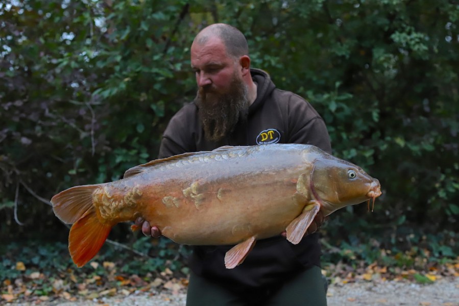 Anders Frenk, Beach, 33lb 8oz, 17.10.20
