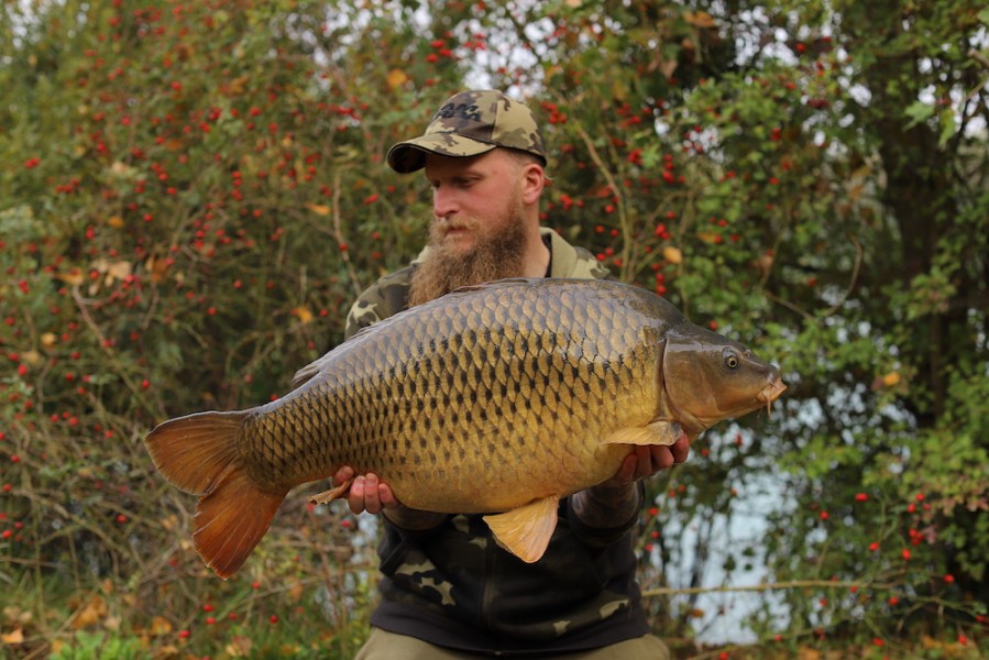 Peder Lichtenberg, 33lb 8oz, Alcatraz, 17.10.20