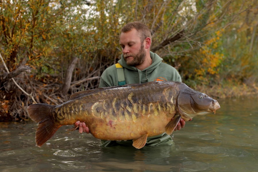Per ogard Hansen, 51lb 4oz, Alamo, 17.10.20