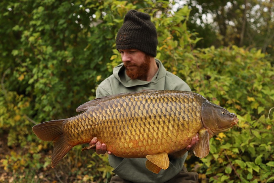 Nikolas Olesen, 34lb 8oz, Co's Point, 17.10.20
