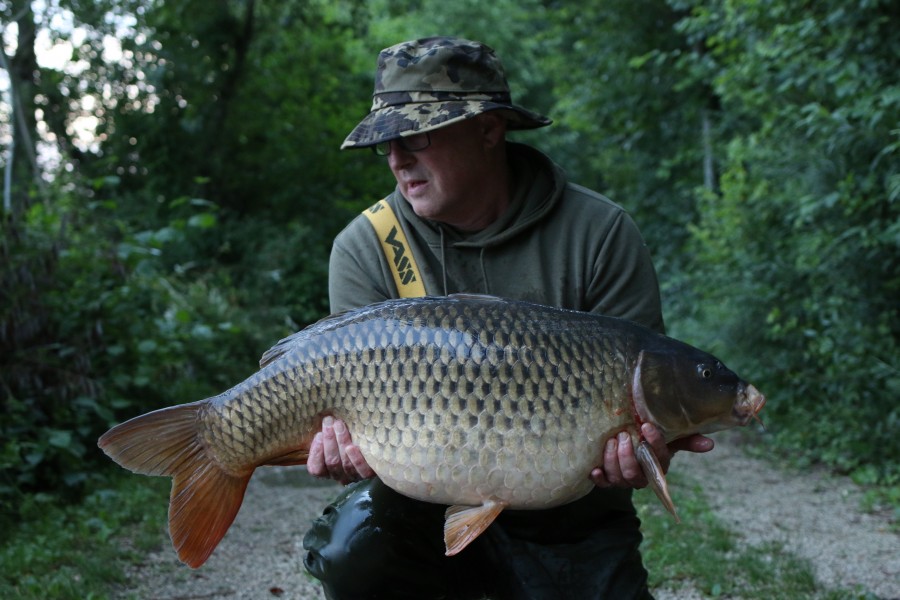 Mick Wilson with a 32lb Common.......lovely early evening bite