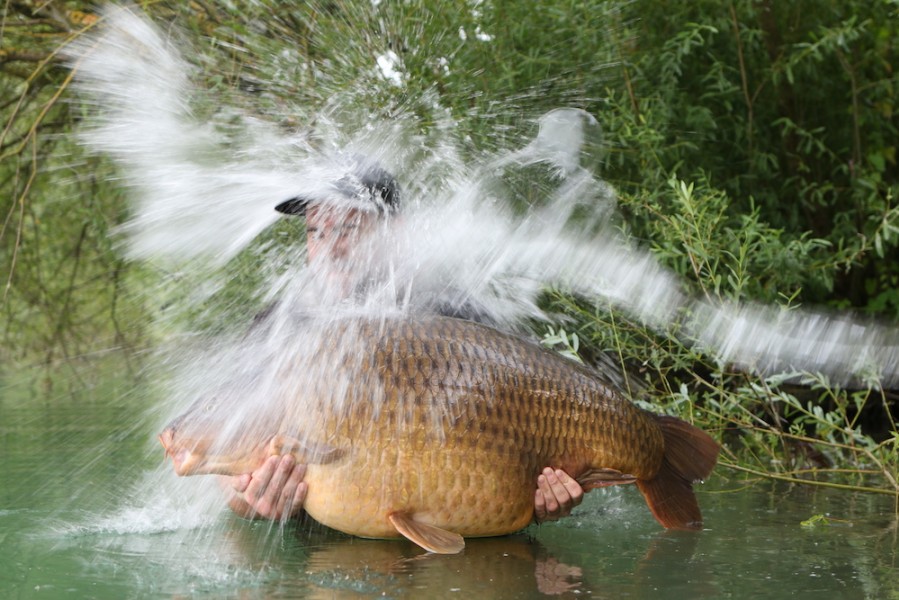 We love a bucket at Gigantica !!