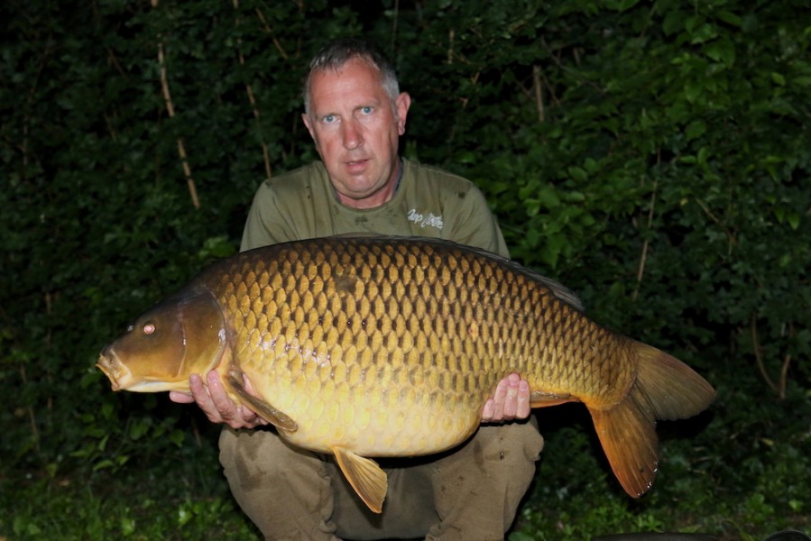 Steve Barr - 41lb 8oz - Scotties Corner - 31/07/2021