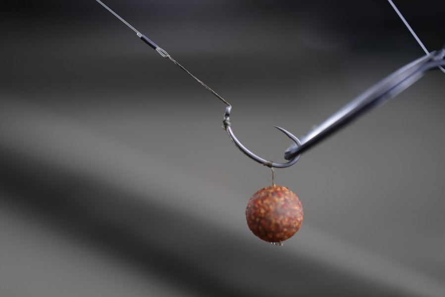 Combi rig with a match the hatch fishmeal wafter was the right choice to keep the bites coming .........