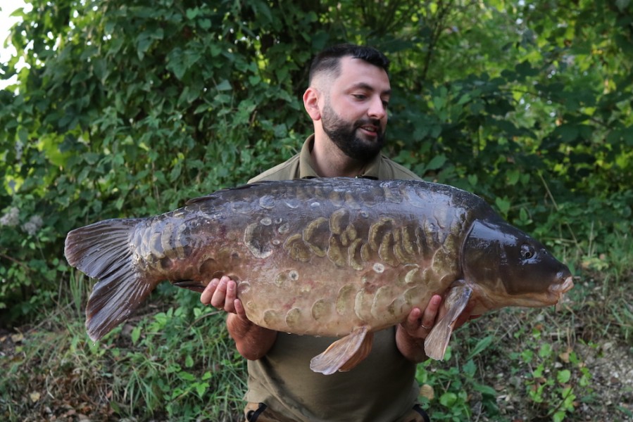 Radu Mitrea with Equalled @ 49lb,