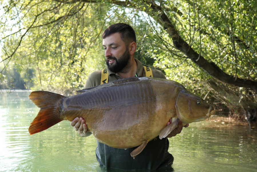 Radu Mitrea with The Weld @ 55lb