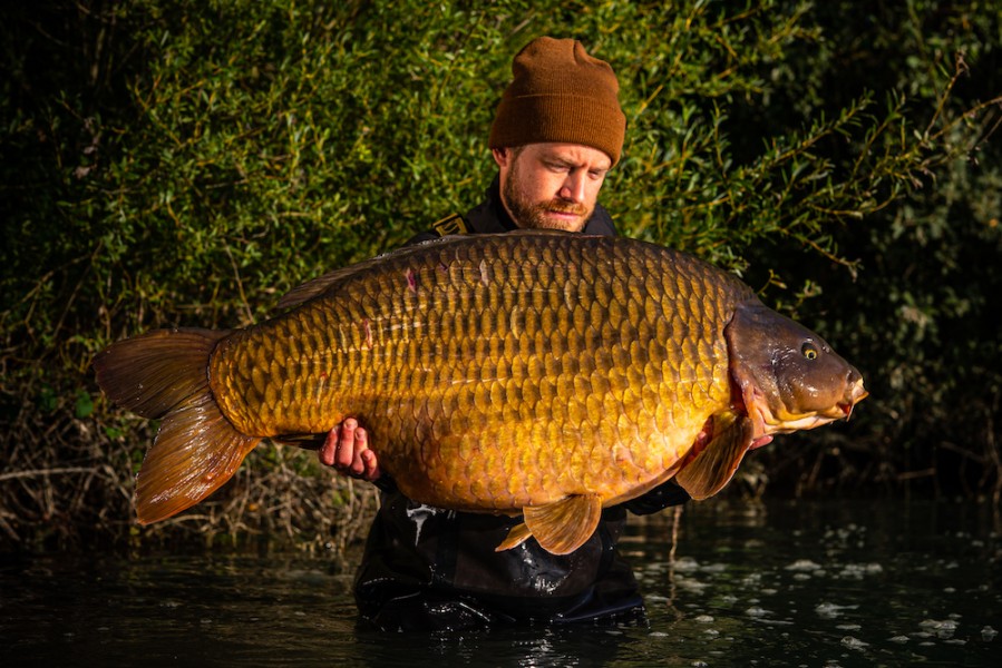 "Lippy Common" is such a cool fish, especially at 68lb!!! ................