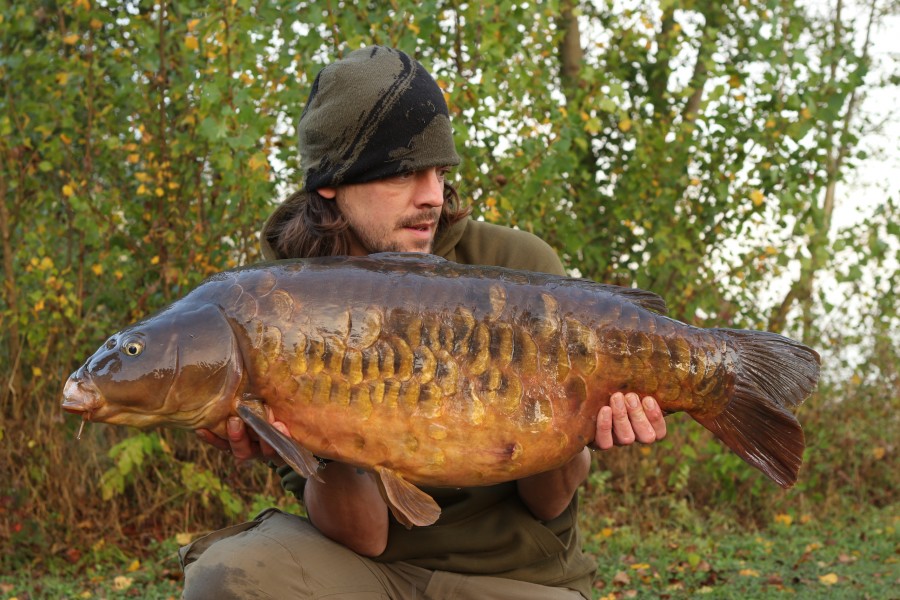 Even bailiff Phil sneaked one out from Stock Pond, "Little Plated" at 36lb!!.........