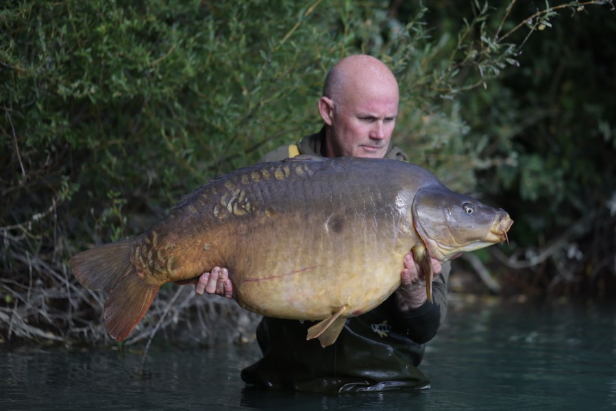 49lb 8oz of "Broadys Mirror" Steve had a very special week in Treeline.........