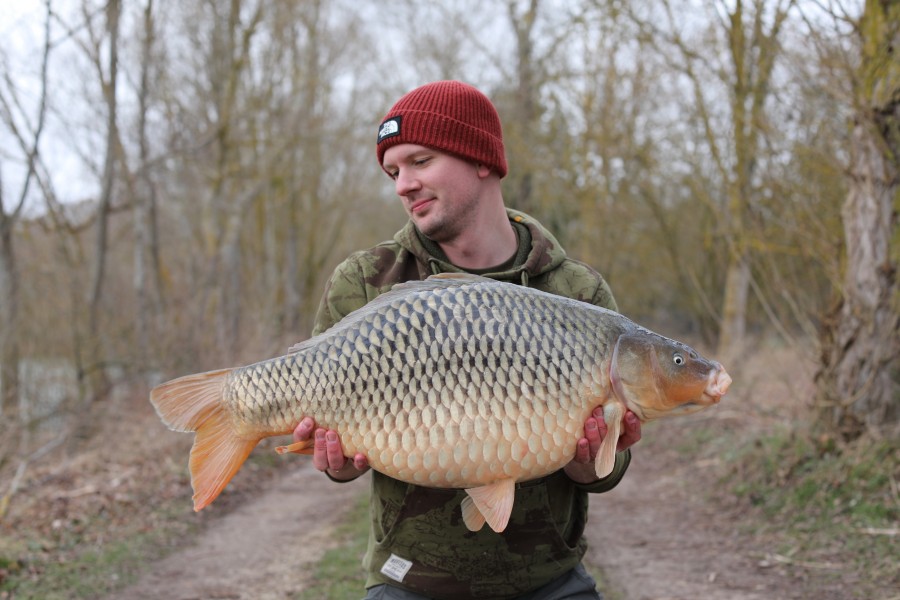 You have to love "Bilbo Baggins" all 33lb 8oz of her ...........