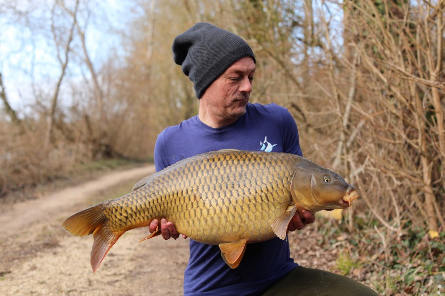 Nick was the first capture of this lovely 26lb 4oz Common so he got to name her, welcome "Jean Genie".........