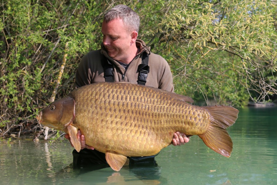 "The Lippy Common" 68lb of Gigantica gold