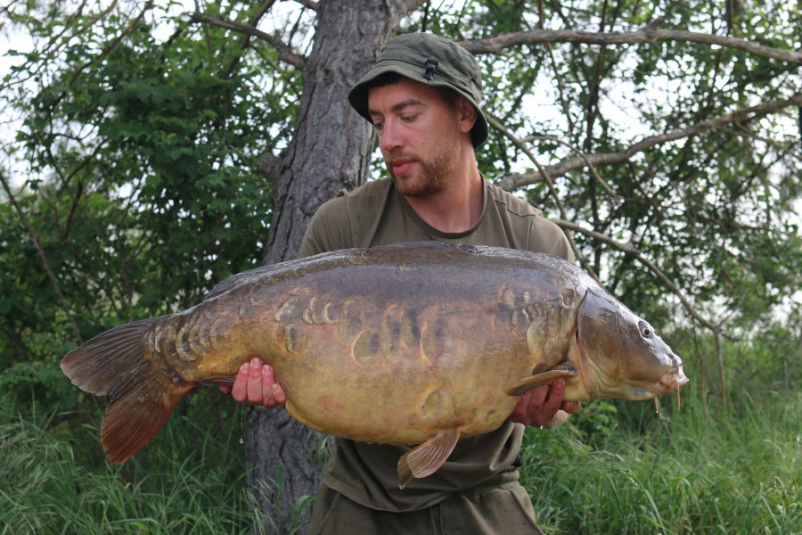 "Soft Focus" lovely old original definitely on my hit list 47lb