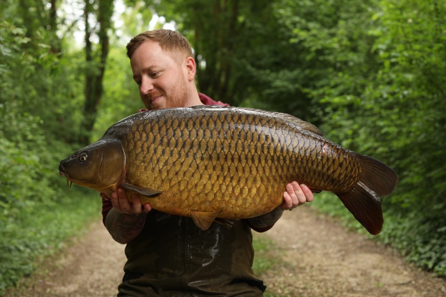 Mega colours on this 37lb Common...