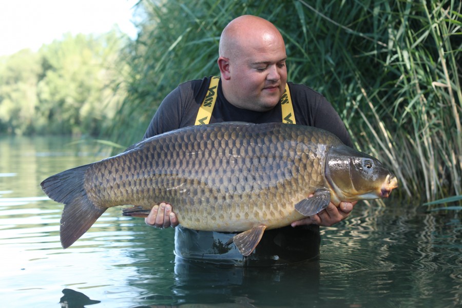 Lovely Common!