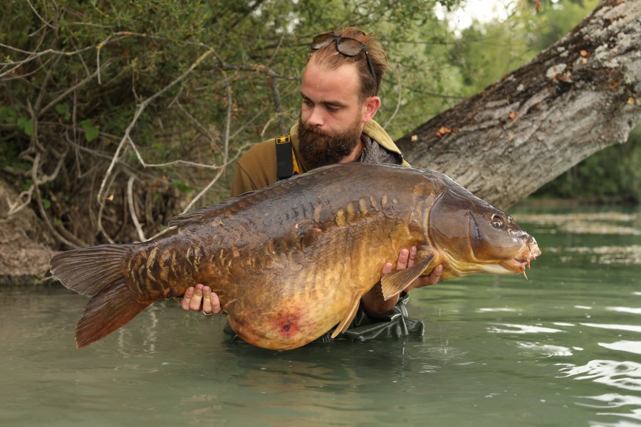 And a 60 thrown in for good measure