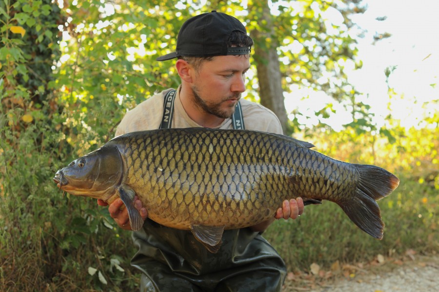 Another super cool Common!