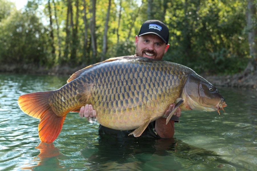Such a cool carp!