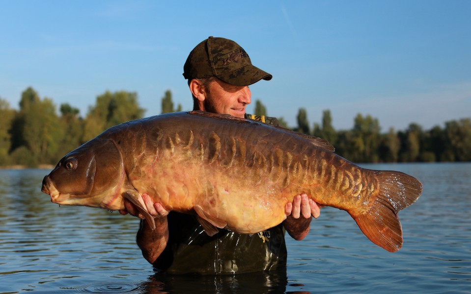Snags Linear was friendly this week!