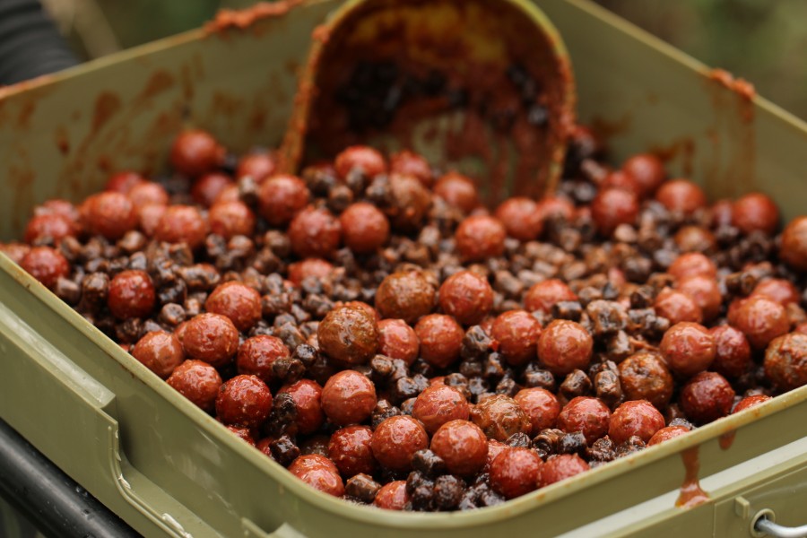 inside Terry's bait bucket