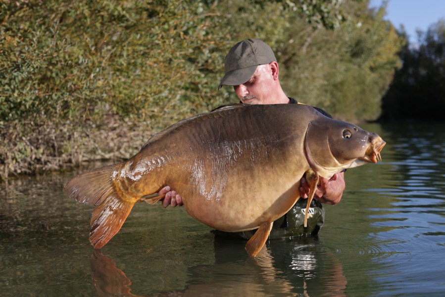 Awesome creature