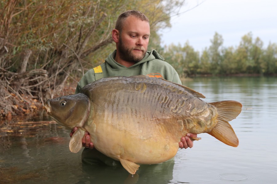 Per with Digites at 52lb 8oz