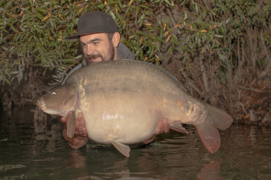 This fish gained 16lb in a year, between captures!!
