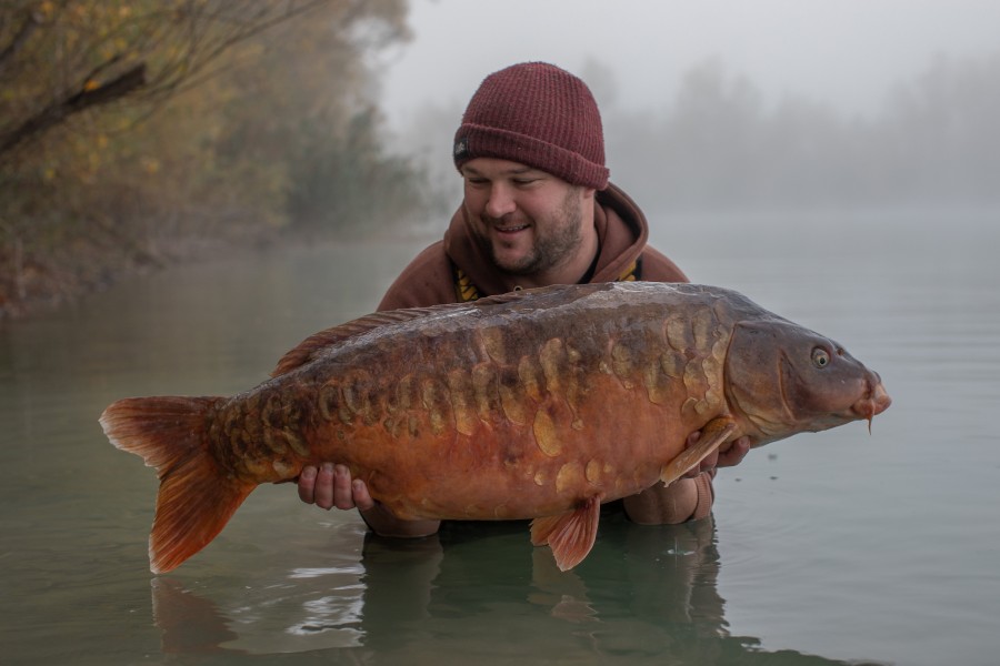 Love this carp!