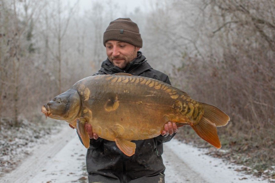 It really did get cold...Proper snow carp!