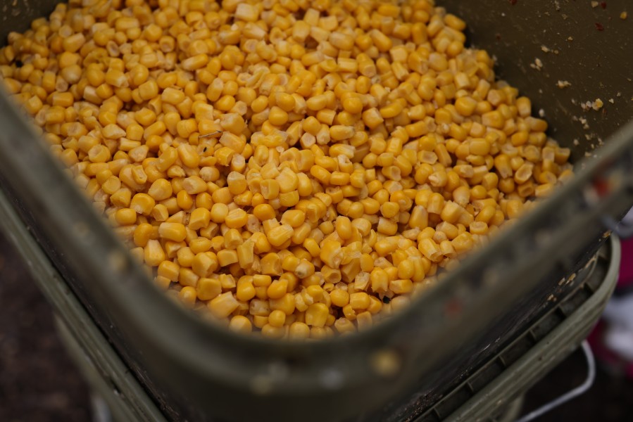 All about the corn at the moment!!