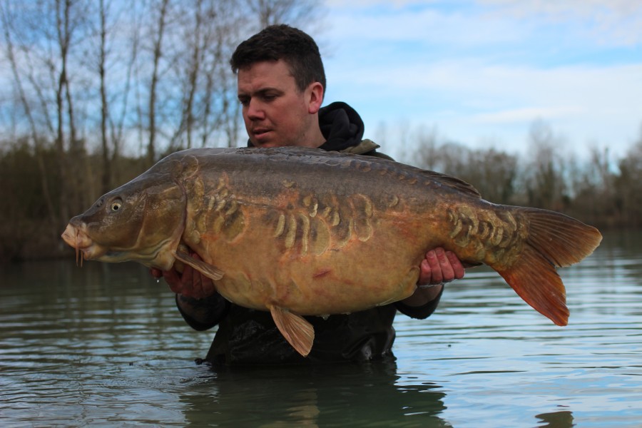 Ben with Soft Focus at 49lb 4oz