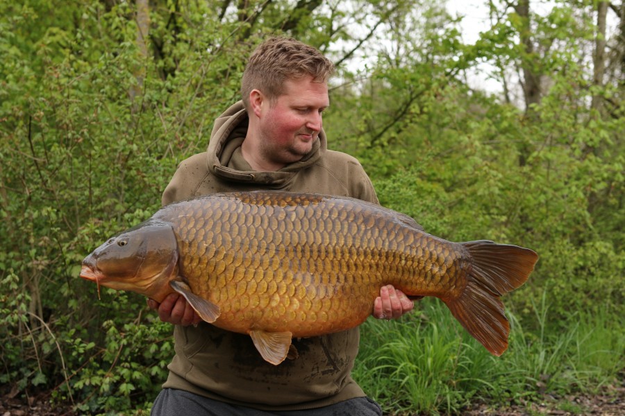 Ash With The Box Common 48lb 10oz
