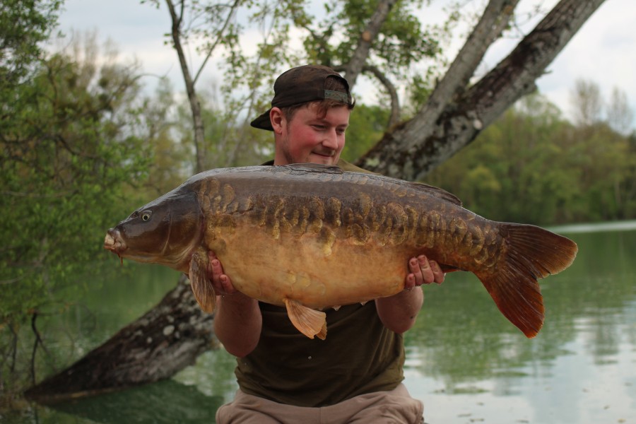 Cookies & Creams at 42lb what dreams are made of!