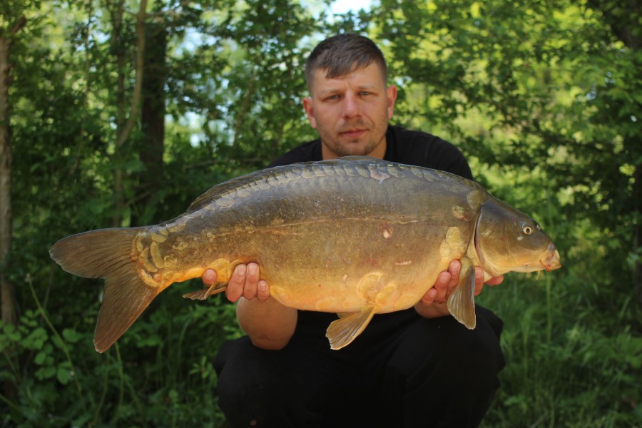 supersonic 26lb