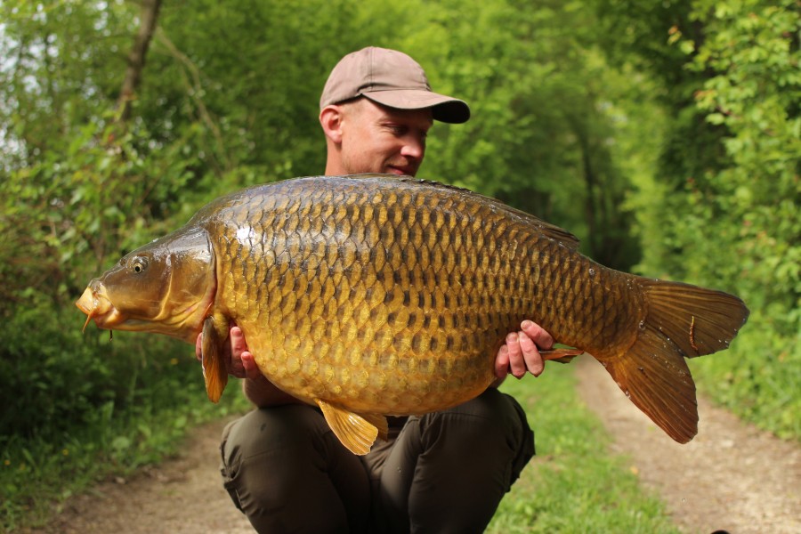 Josh's 44lb