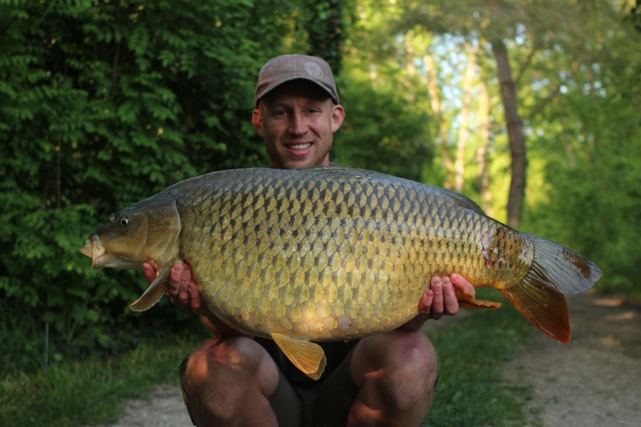 Chipper 38lb