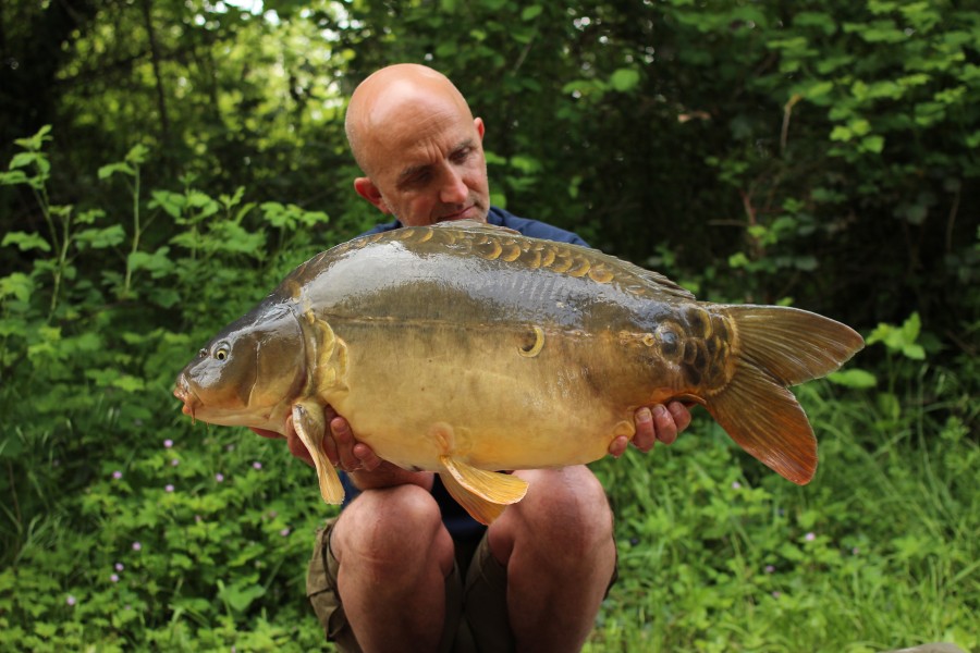 27lb 15oz
