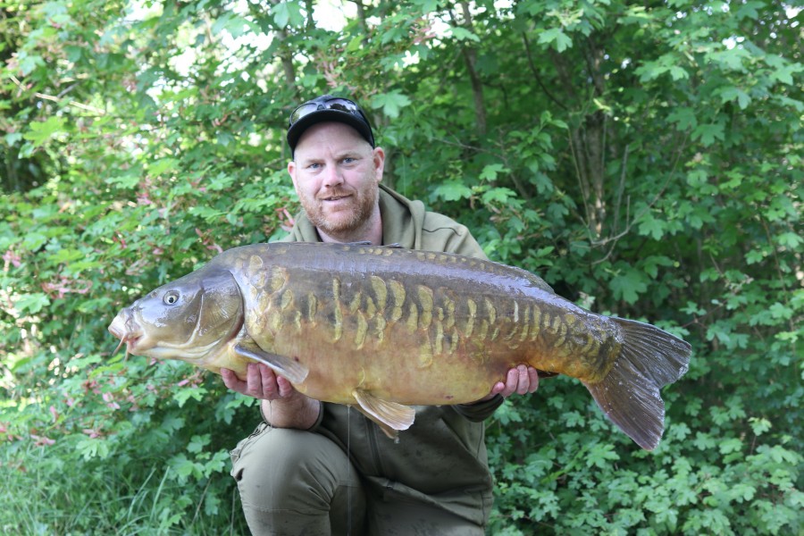 Two Faces 40lb