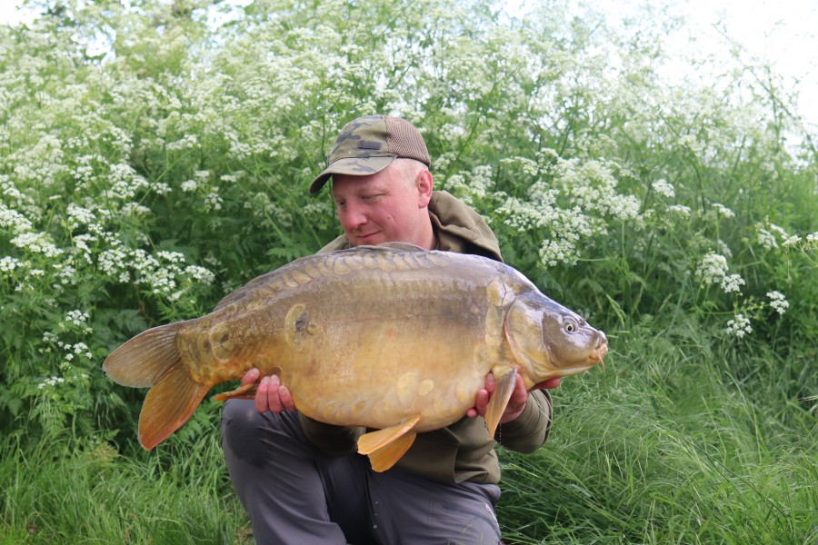 AJ'S 35lb