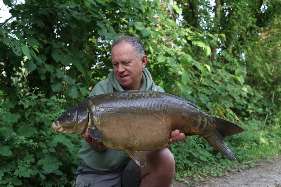 Oscar 35lb
